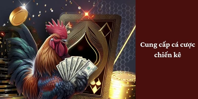 98WIN cung cấp dịch vụ đặt cược chiến kê